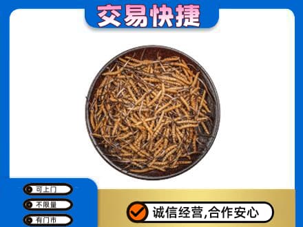 新乡获嘉县回收散虫草